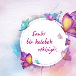 Küçücük Bir Kelebek Etkisiydi