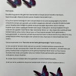 Bunu ben de her kadın gibi başaracağım dedim kendime